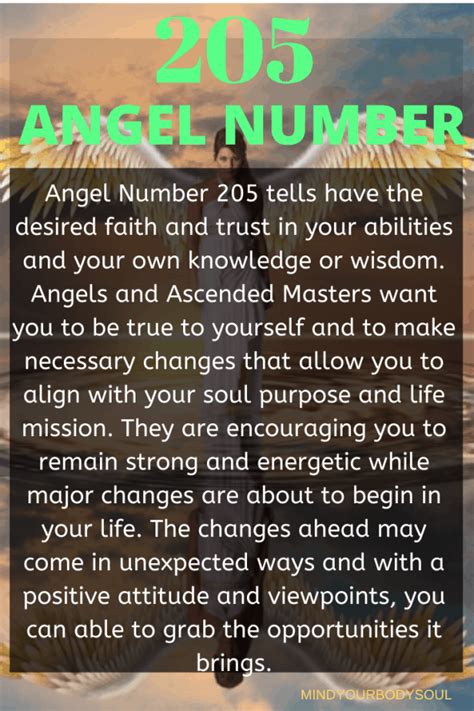 205 angel number love|205 Angel Number Meaning: Harmony, Adaptability, Courage